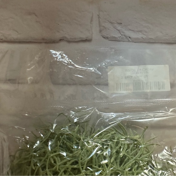 10.5 ounces of fake moss from Floerve 8x8x1.5 inches - Picture 5 of 6